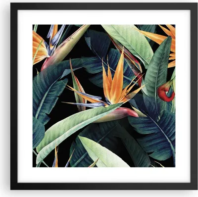 Produktbild von Gerahmtes Poster - Schwarzer Rahmen - Pflanze Tropisch Blume - 40x40 cm - Wand Bild - Wanddeko - Wandbilder - Kunstposter - Wandposter - Bilderrahmen - Bilder - Kunstdruck - P2BAC40x40-5093