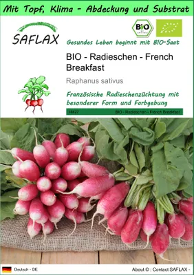 Produktbild von SAFLAX Garden to go - BIO - Radieschen - French Breakfast - Raphanus sativus - 150 Samen - Mit Topf, Klima - Deckel und Anzuchtsubstrat