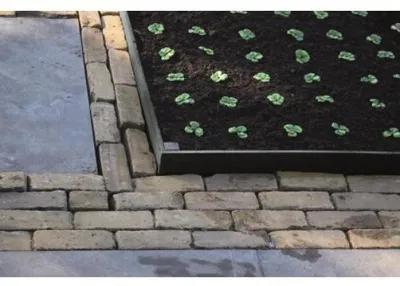 Image de Bordure de jardin en latte BorderFix -14cm x 2m, épaisseur 10mm