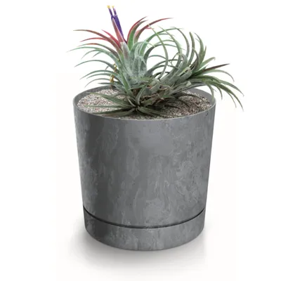 Obrázok produktu pre botle kvetináče okrúhle plastové betónové vzhľad kvetináče tmavosivé podložky pestovanie kvetináče d 12,8 cm kvetináče sukulenty, kaktusy, bylinky izbové rastliny deco dom balkón záhrada kancelária