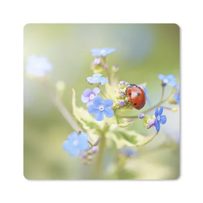 Produktbild von MuchoWow® Mauspad Mousepad Marienkäfer - Blume - Frühling 20x20 cm - Mousepads - Maus Mat - Pad - Mausunterlage - Desk Mat - Bureauartikeln