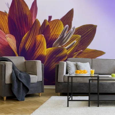 Produktbild von Muralo XXL Selbstklebende FOTOTAPETE 3D Effekt Makro Lotus Blume (B) 405 cm x (H) 270 cm Tapete Wandtapete WOHNZIMMER SCHLAFZIMMER 5188