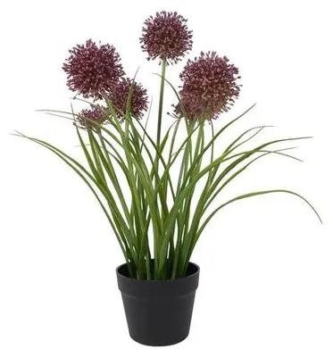 Immagine prodotto di Countryfield - Pianta decorativa artificiale Allium viola, 60 cm