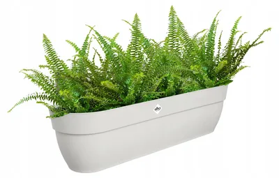 Produktbild von Blumenkasten Elho Vibia campana Easy Hanger XXL Kunststoff 69 x 23,7 x 26,8 cm seidenweiß