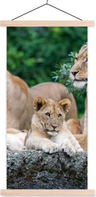 Produktbild von MuchoWow® Textilposter Löwen - Tiere - Jungtiere 60x120 cm mit holzfarbenen Rahmen - Holz