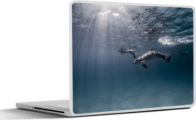 Produktbild von MuchoWow® Laptop Aufkleber Sticker Cover Delfin - Sonne - Meer 25x18 cm - Laptop-Deko
