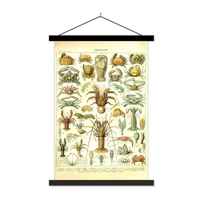 Produktbild von MuchoWow® Textilposter Hummer - Tiere - Meerestiere - Vintage - Adolphe Millot 40x60 cm mit schwarzem Rahmen - Wanddekorationen