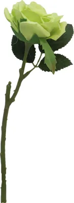 Produktbild von artplants.de Künstliche Blume Rose ASHANTO, hellgrün, 25 cm - Künstliche Stielblume