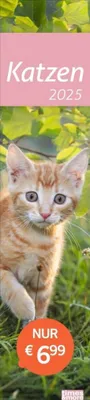 Produktbild von Katzen Langplaner 2025