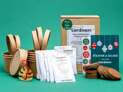 Obrázok produktu pre Vianočná darčeková sada - Microgreens Gardners "Vypestujte si vlastné", L, Obrázok generovaný UI