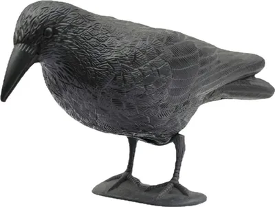 Produktbild von APT Vogelabwehr aus Kunststoff