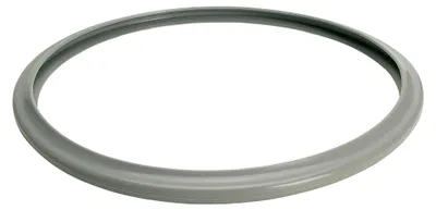 Produktbild von Dichtungsring für Praktika XL, 22 cm