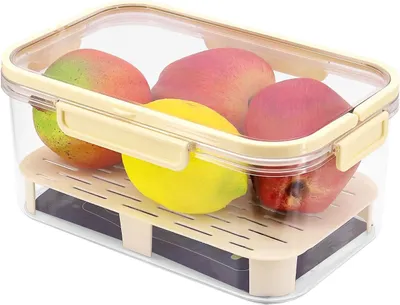 Produktbild von Aufbewahrungsbehälter mit Deckel und Abtropfgitter, ideal für Kühlschränke und Picknickkörbe im Freien.
