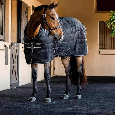 Produktbild von Horseware Amigo Ripstop Insulator Stalldecke 50g
