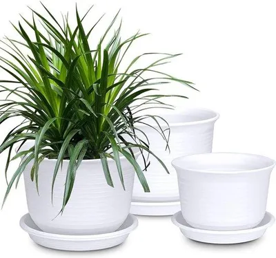 Image de Pot de fleurs en plastique, diamètre 23,5/25/30 cm, pot rond de grande taille avec soucoupe, pour fleurs et plantes, pour l'intérieur et l'extérieur, pot d'extérieur (lot de 3, blanc)