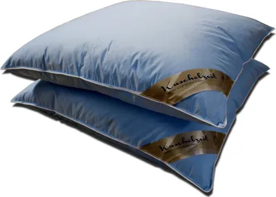 Produktbild von Kopfkissen Set Kuschelzeit 80x80 cm in blau - mit je 1000 Gramm Füllung aus 70% Federn und 30% Daunen