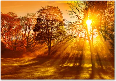 Produktbild von Tulup® Leinwandbild - 100x70 cm - Wandkunst - Drucke auf Leinwand - Leinwanddruck  - Landschaften - Orange - Sonnenuntergang