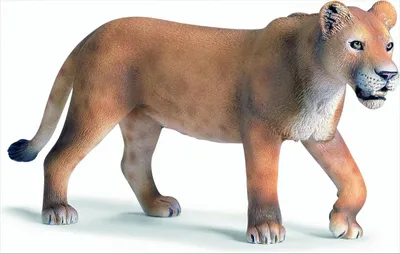 Produktbild von Schleich 14363 - Löwin, laufend