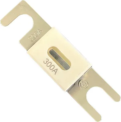 Obrázek produktu pro Pojistka Victron ANL 300A/80V pro 48V produkty - 5 kusů | CIP143300020