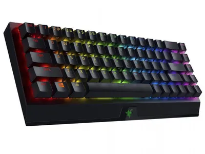 Obrázek produktu pro Klávesnice Razer BlackWidow V3 Mini HS GS
