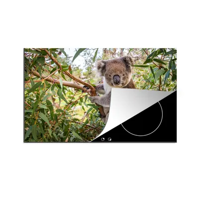 Produktbild von KitchenYeah© Herdabdeckplatte Koala - Blätter - Kinder - Jungen - Mädchen , 81x52cm, Küche Deko, Glaskeramikkochfeld Herdabdeckung, Abdeckplatte fùr Kochfeld