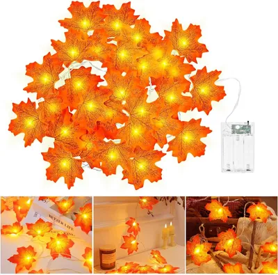 Produktbild von cshare Herbst Lichterkette Batterie, 3M 20LED Halloween Deko Herbst Ahornblatt Girlande Lichterkette mit Timer für Halloween Theme Erntedankfest Weihnachtsfeiern.