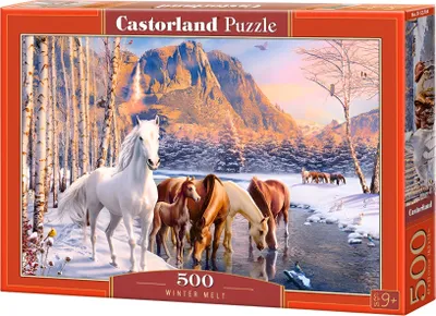 Immagine prodotto di Puzzle 500 pezzi Winter Melt 53704 Castorland