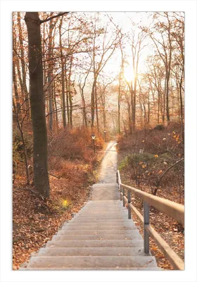 Produktbild von Wallario Wandbild Weg in den Sonnenuntergang, Größe: 61 x 91,5 cm, Poster mit rahmenlosen Bildhalter