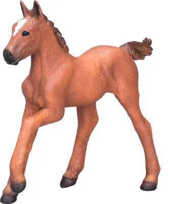 Immagine prodotto di Mojo Cavallo Mondo Arabo Puledro Marrone381019