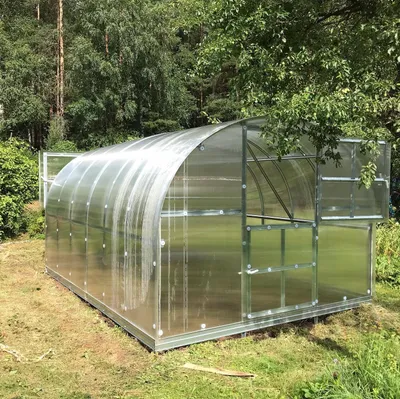 A greenhouse with a metal frame and clear polycarbonate panels is set up in a grassy, wooded area.