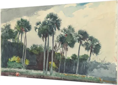 Produktbild von Selbstklebende Fototapete - Wandbilder für Wohnzimmer - 416x254 - Dekorative Wandfolie - Modernes Design für Wanddekoration - Tapeten für Innenräume - Exotische Palmen