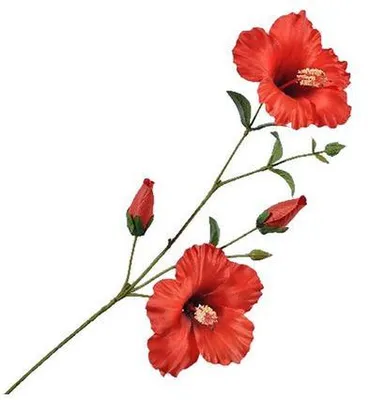 Produktbild von Hibiskusstiel L 73 cm rot Kunstblume Jasaco