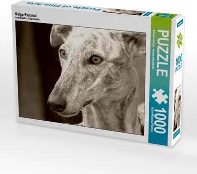 Produktbild von Calvendo Galgo Español 1000 Teile Puzzle quer 640x480mm, - Andrea Redecker 4pfoten-desi; 7366716