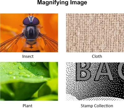 Immagine prodotto di Microscopio digitale USB, ingrandimento 1600x, fotocamera, 8 LED con supporto, lente di ingrandimento portatile