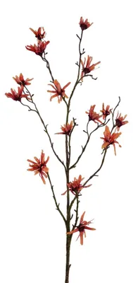 Zdjęcie produktu dla Sztuczny kwiat Hamamelis pomarańczowy 120cm