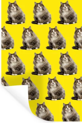 Produktbild von MuchoWow® - Sticker - Dekorfolie