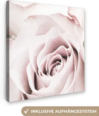 Produktbild von MuchoWow® - Leinwandbilder - Blumen - Rose - Rosa - Botanisch, Wandbild, Wanddeko Bilder Wohnzimmer, 50x50 cm