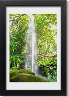 Produktbild von Bild 20x30 MDF-Rahmen, Wandkunst Wasserfall im Dschungel