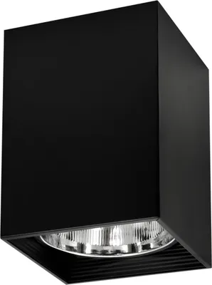 Zdjęcie produktu dla Spot JUPITER czarny 1xE27x20W metal wym:21,6x16x16cm IP20 Polux