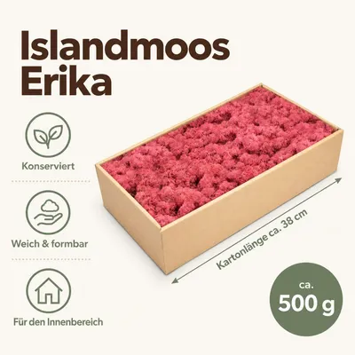 Islandmoos Erika, 500 g – Maße und Liefermenge auf einen Blick