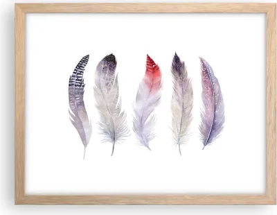 Produktbild von Gerahmtes Poster - Rahmen in heller Eiche - Feder Tier Vogel Komposition - 40x30 cm - Wand Bild - Wanddeko - Wandbilder - Wandposter - Bilderrahmen - Bilder - Kunstdruck - Wandbild - P2NAA40x30-2951