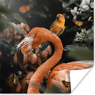 Produktbild von MuchoWow® Poster Flamingo - Dschungel - Papagei 50x50 cm - Wohnzimmerdekoration