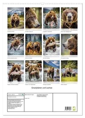Produktbild von Grizzlybären und Lachse (Wandkalender 2027 DIN A2 hoch), CALVENDO Monatskalender