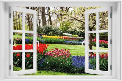 Produktbild von Wallario Wandbild mit Fenster-Illusion: Bunte Blumen und Kirsch-Baum im Park blühen im Frühling, Größe: 61 x 91,5 cm, Poster mit weißem Aluminiumrahmen