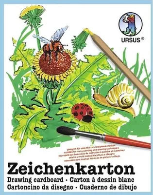 Produktbild von Zeichenkarton 250g/qm A3 VE=10 Bogen