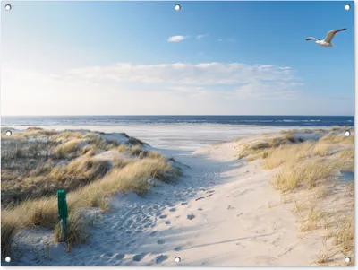 Produktbild von MuchoWow® 120x90 cm Outdoor-Poster Gartendeko Sichtschutz Garten Poster für den Garten  Düne - Möwe - Strand - Meer - Sonne