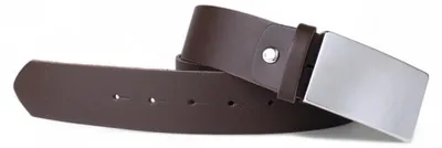 Produktbild von FRONHOFER Ledergürtel kürzbar, 3,8 cm breit, silberne Schnalle, extra Edelstahlschraube