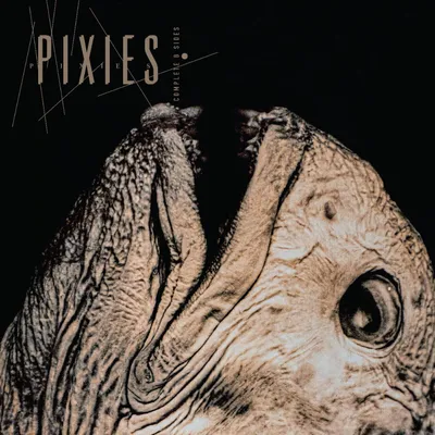 Immagine prodotto di Pixies - Complete B-Sides: 1988-97 (copertina apribile) (2 LP)