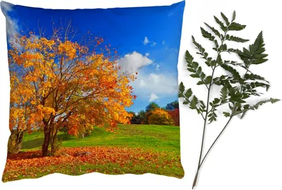 Produktbild von MuchoWow® Zierkissen Sofakissen Wohnzimmer Dekokissen 50x50 cm Baum - Blätter - Herbst - Jahreszeiten - Komfort - Sofakissen