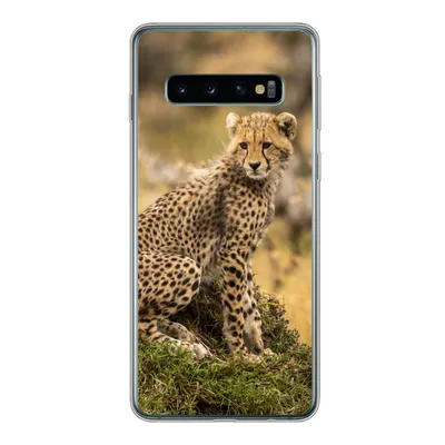 Produktbild von MuchoWow® Handyhülle Schutzhülle Hülle für Samsung Galaxy S10 Leopard - Wald - Tier Silikon Softcase Handy Hülle - Handytasche
